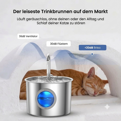 BRISA® Katzenbrunnen + 2 Monatsvorrat Filter